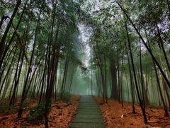 -藏龙百瀑风景区