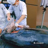 宝藏日料店！现场开鱼现场吃[耶]鹅肝也是一绝