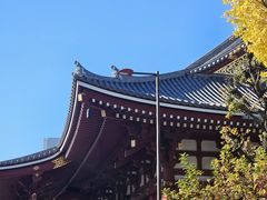 -浅草寺