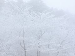 -浙西天池景区