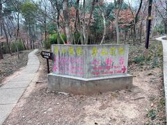 -句容茅山景区