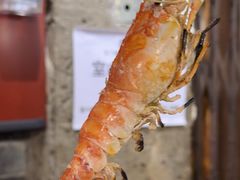 -辉记炭烧海鲜大排档·老字号(福田店)