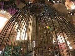 -深圳东部华侨城茵特拉根酒店