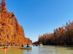 -上海海湾国家森林公园