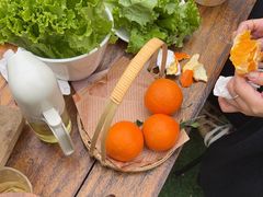 -柠檬花院烤肉·围炉煮茶·草坪团建·生日派对(三圣乡店)