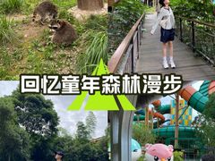 -杭州开元森泊度假乐园
