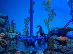 -上海海洋水族馆