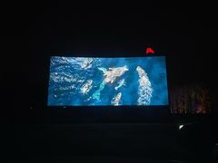 -枫花园汽车电影院(朝阳公园店)