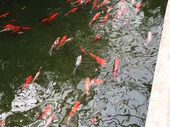 -寿山福海养老服务中心(石景山院)