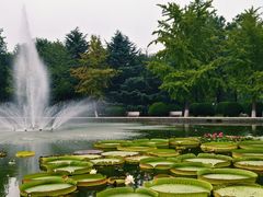 -石家庄市植物园