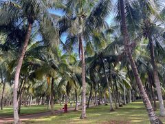 -白沙门生态公园