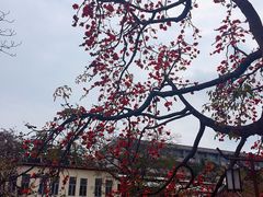 -黄埔古港