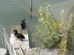 -上海怡沁园度假酒店