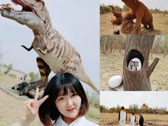 -亿利库布其七星湖沙漠生态旅游区