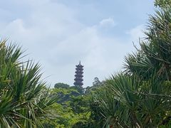 -南沙蒲洲花园