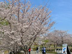 -佛手湖郊野公园
