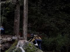 -牛背梁国家森林公园