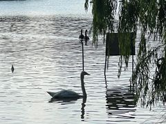-上海野生动物园