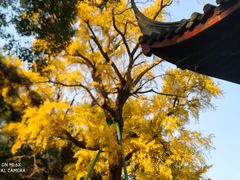 -无锡惠山寺