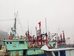 -花岙岛