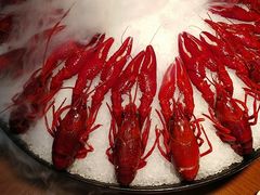 -阿甘龙虾·重庆麻麻鱼(中豪店)