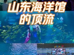 -泉城欧乐堡海洋极地世界