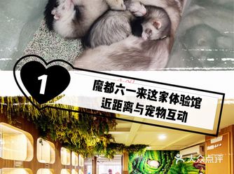 六一遛娃/魔都六一哪里好玩？当然是藦茜花园