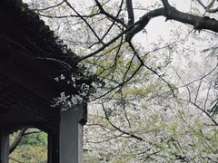 -惠山古镇·寄畅园