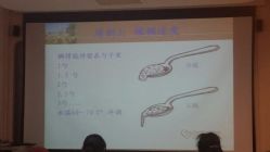 -北京和美妇儿医院