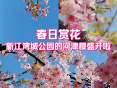 -新江湾城公园