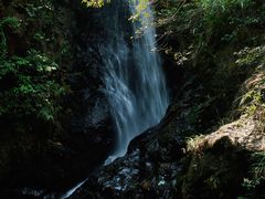 -马峦山郊野公园