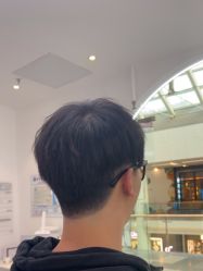 -YESIDO椰岛造型