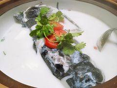 -全乐鱼馆·淳牌有机鱼直营店