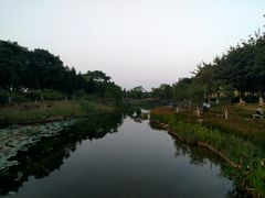 -映月湖公园