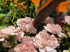 -爱尚幸福鲜花(上地实体店)