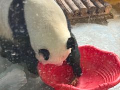 -青藏高原野生动物园