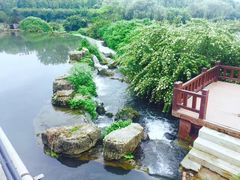 -贵阳市花溪国家城市湿地公园