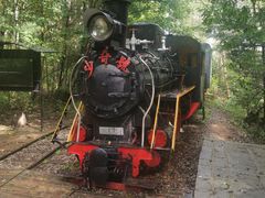 -五营红松林海景区