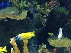 -多彩贵州城极地海洋世界