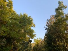 -兰山公园