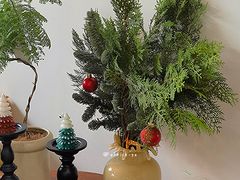 -PANDA QUEEN熊猫女王(成都店)