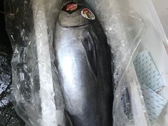 -橼舍鮨青木