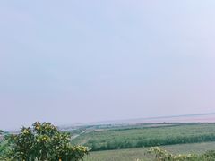 -海宁市观音寺