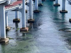 -星海湾跨海大桥