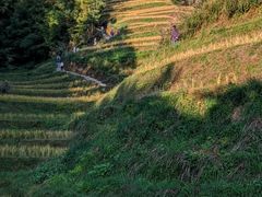 -龙脊梯田