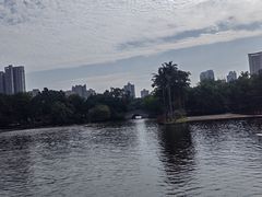 -荔湾湖公园