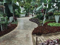 -石家庄市植物园