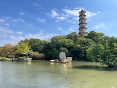 -江心屿景区