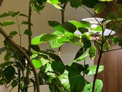-The Good Place好地方·Brunch·coffee(国贸店)