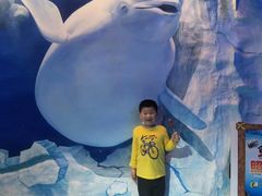 -芜湖新华联大白鲸海洋公园